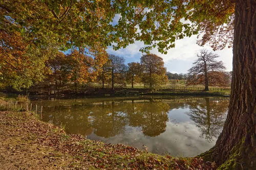 Autumn trees and lake This landscape photograph captures a rural scene in England, United Kingdom, during the late morning in autumn. The main subject of the image is a pond surrounded by trees, with their autumn foliage reflected clearly in the water. In the distance, open fields and a wooden fence are visible, contributing to the countryside atmosphere. The photograph was taken at Hardwick Hall, a location known for its scenic beauty and historic estate grounds. The vibrant reflections of the autumn trees in the pond enhance the seasonal colors, highlighting the tranquil water and natural rural setting typical of the area.